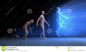 human element evolution