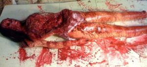 Hate brutal murder